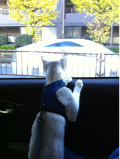 image-20111212204859.png