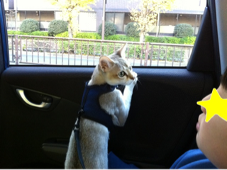 image-20111212204914.png