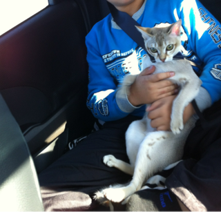 image-20120103034135.png