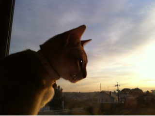 image-20120103034401.png