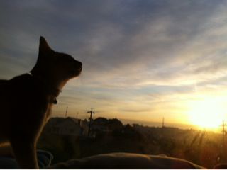 image-20120103034501.png