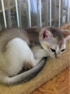 image-20111003192824.png