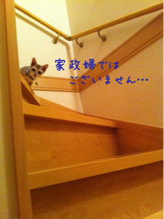 image-20111003203712.png