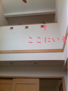 image-20111012120046.png
