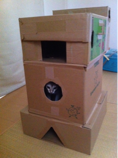 image-20111028002001.png
