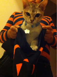 image-20111030230640.png