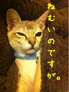 image-20111030232850.png