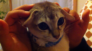 image-20111104232109.png