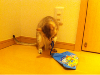 image-20111128220053.png