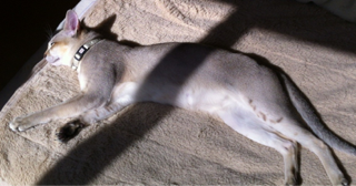 image-20120227160404.png